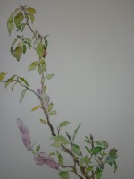 /album/fotogaleria-acuarela/p1020873-jpg/