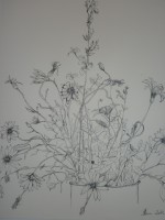 /album/fotogaleria-tinta/p1020877-jpg/