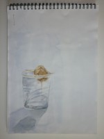 /album/fotogaleria-otros/p1020888-jpg/